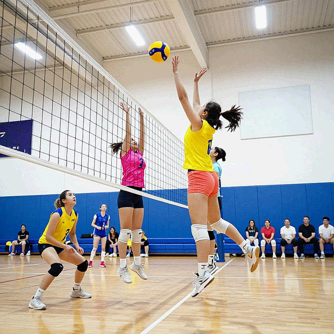 Bóng chuyền Việt Nam và khoảng trống dữ liệu: điều gì còn lại khi bảng thống kê chưa đủ để kết luận